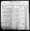 1900 US Census - TX - Hale County